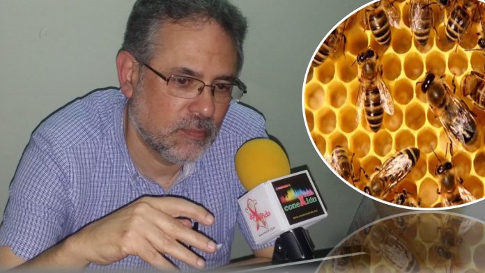 dr. flores Experto. Alberto Flores. Foto composición: Marlon Castillo