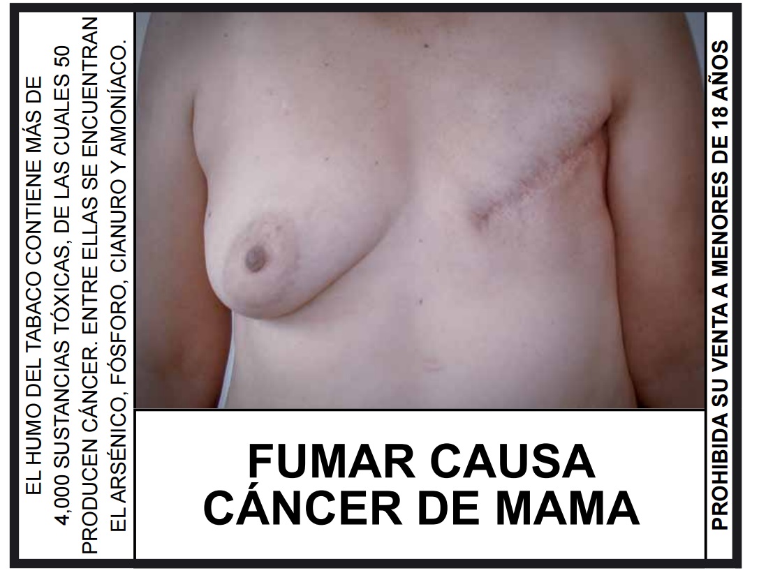 grafica-1