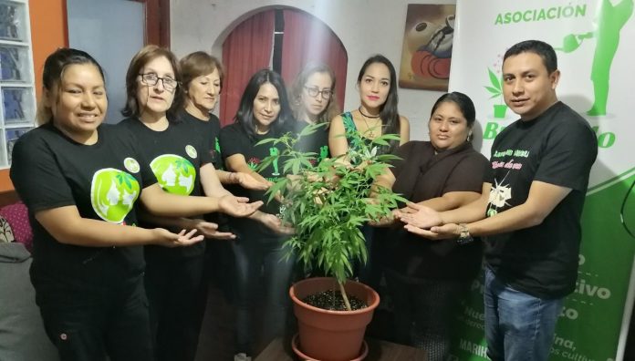 Integrantes de Focame - Foto: Facebook