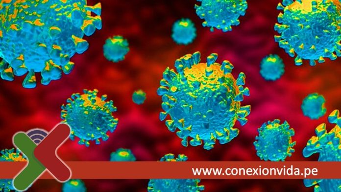coronavirus nueva variante- Conexion Vida coronavirus nueva variante- Conexion Vida