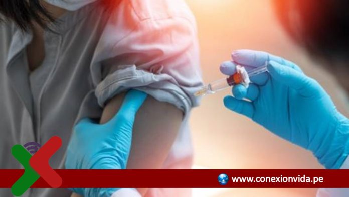 Diseño sin título (2)