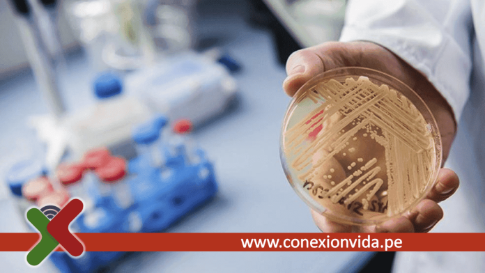 Resistencia a los antimicrobianos (RAM) representa una gran amenaza para la salud humana