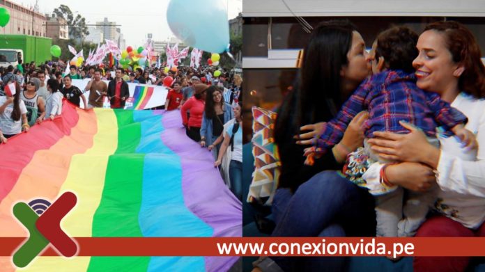 Cerca a 300 familias homoparentales luchan para que se les reconozcan sus derechos