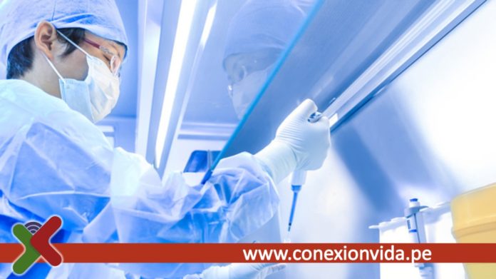 Día del Epidemiólogo profesionales médicos son pilares de la salud pública