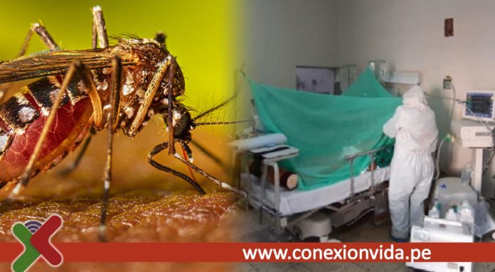 Hospital San Juan de Lurigancho 30 personas fueron dados de alta de la Unidad de Vigilancia Clínica tras vencer el dengue