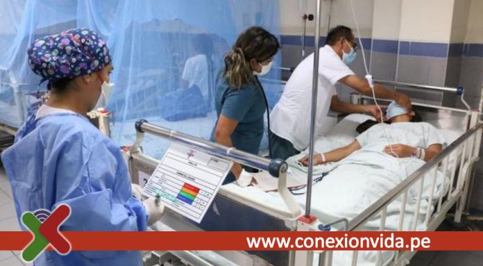 Aumenta en un 97.88% los casos de dengue en Perú en 2024 respecto al año anterior